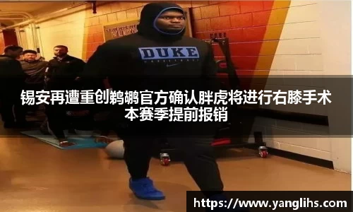 乐玩lewin国际