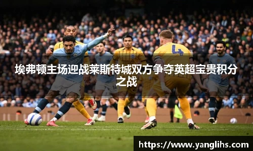 埃弗顿主场迎战莱斯特城双方争夺英超宝贵积分之战